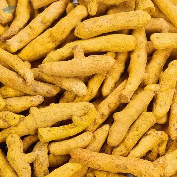 turmeric